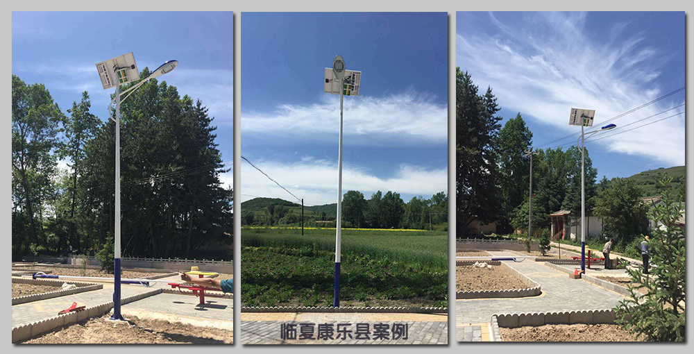 臨夏康樂(lè)縣案例